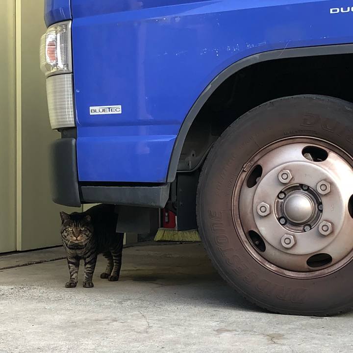 99ad3048 a644 476d 8b75 2b26993f170d 1531429646054