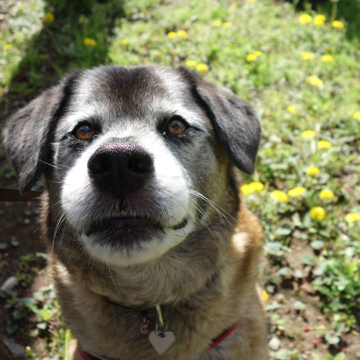 99ad51b6 eaf6 4876 a1d7 4aa23da1e7cb 1633306005548