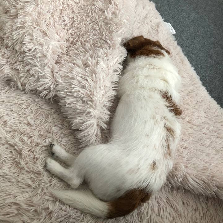 99ad760b 3fa0 4912 a9d1 46a5b19ccb8d 1617882255614