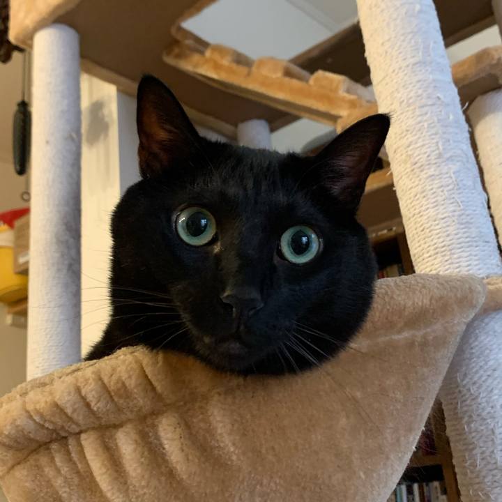 99ad89e2 573e 4b59 b3fe 458142495fc8 1666046138643