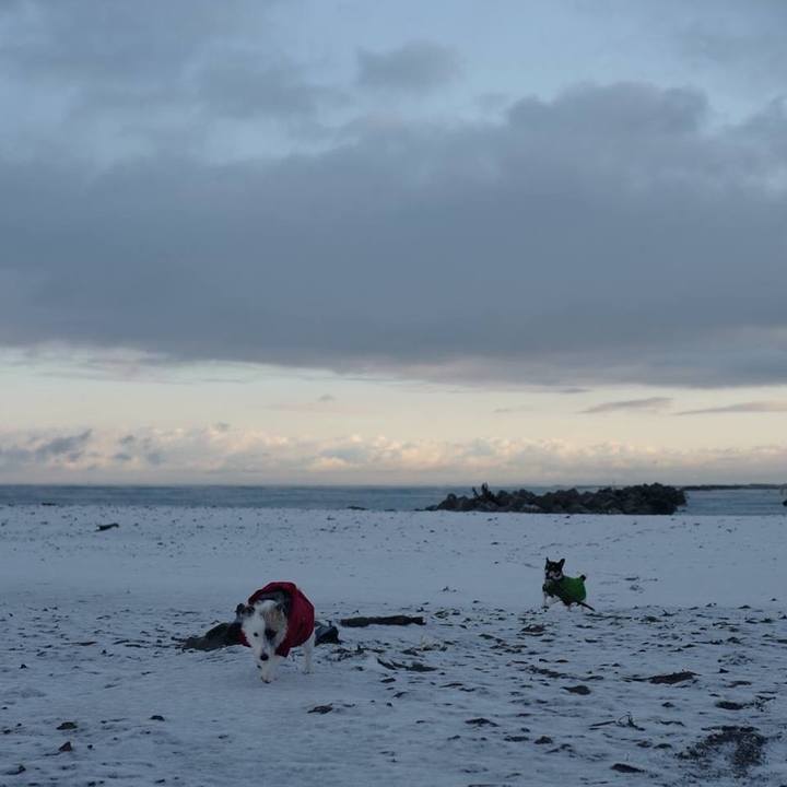 99ad8d20 d9f5 474a 9a4e b21527980e3e 1512622446979