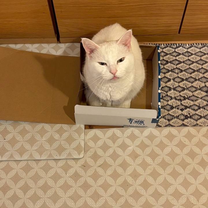 99ad9af0 f69a 4c76 aabc 0261fd2d698f 1764160137450