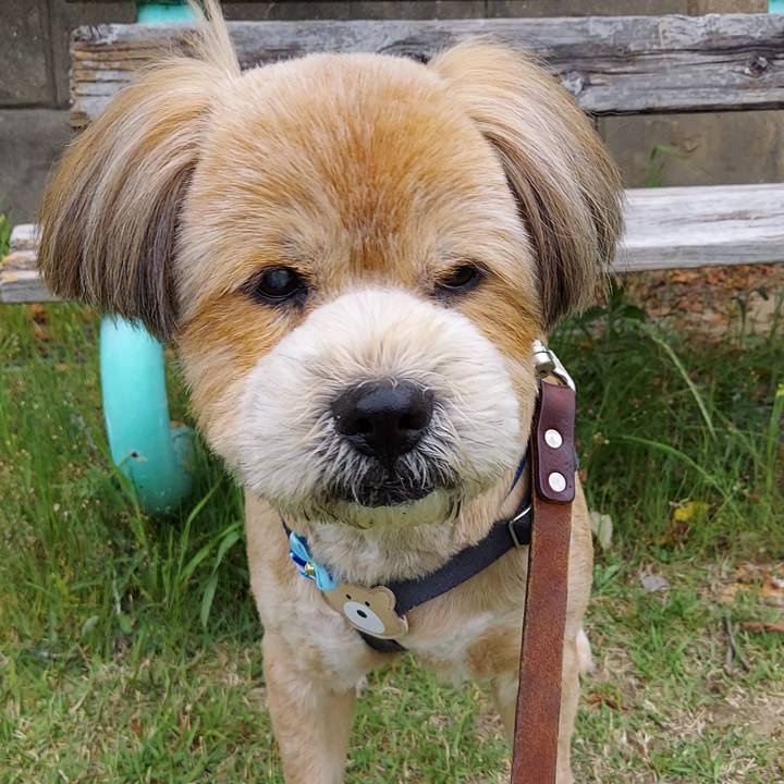 99ada41a 188f 4559 a240 08e851f15cf0 1652176115782