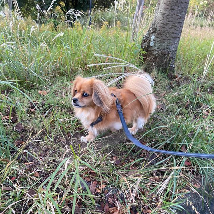 99ae1f25 9278 4589 9ea7 04125e92def0 1573077618416