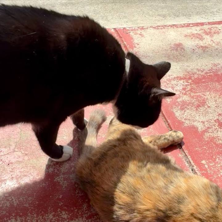 99ae40d5 cf4b 46db 9355 9b8388ba8c1c 1744509480794