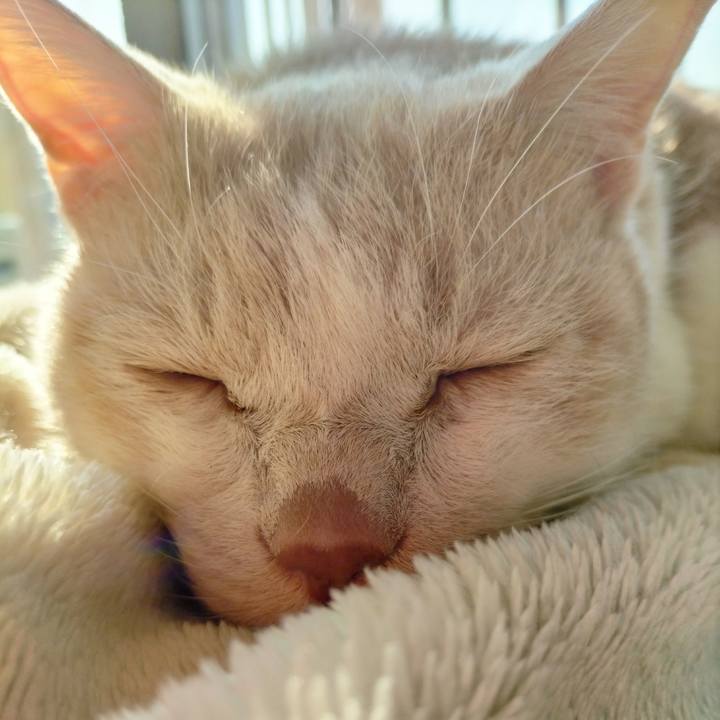 99ae7a4c 4d33 4382 b10e b7d54d2b5782 1704504795810