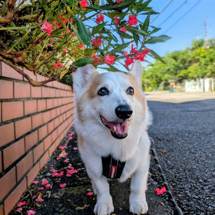 99ae8548 863c 4973 84f2 07dc1f008b27 1760664720749