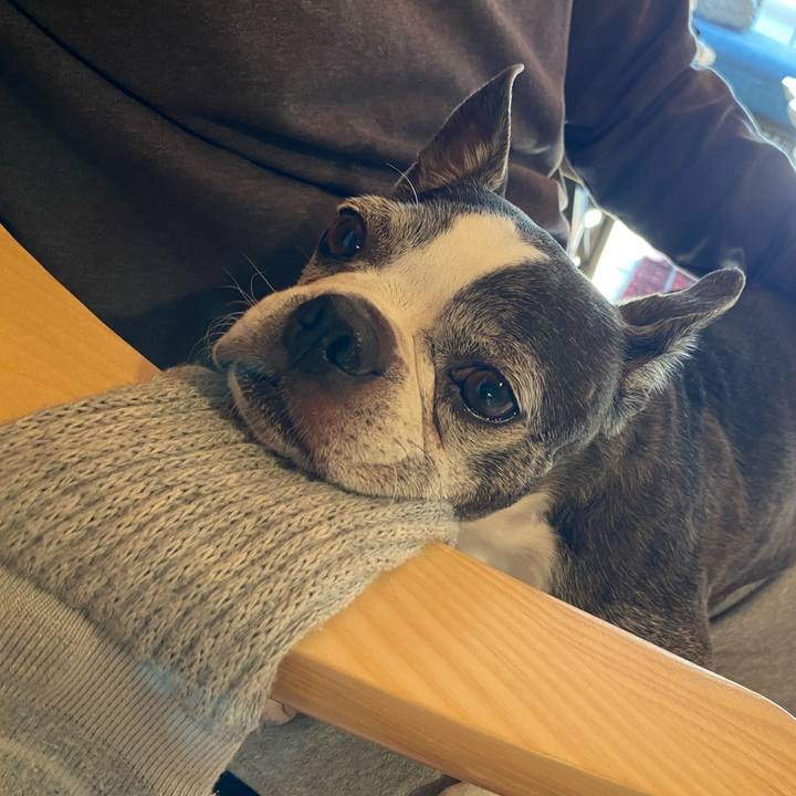 99aeaac2 ac3b 4ed1 84de b13fcc80f600 1767706746842