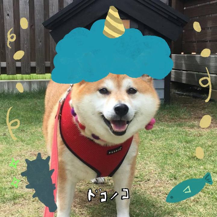 99aebb3a 42ee 44f3 a3d1 7c3cafe19c2a 1706878990808