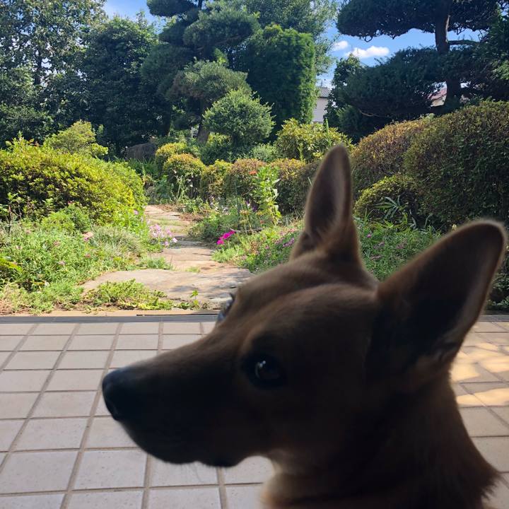 99af2cf4 31e5 430e b469 779c8c02dc86 1536465967438