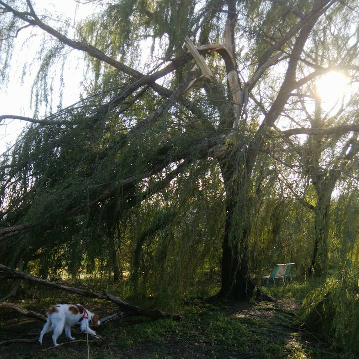 99af2fe8 3a05 4be2 8a3c 470700aa80fc 1536124506160