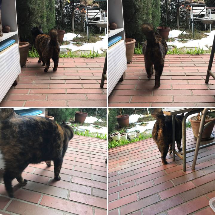 99af5168 35f1 4fd7 a51f 86d243f8a545 1517116356732