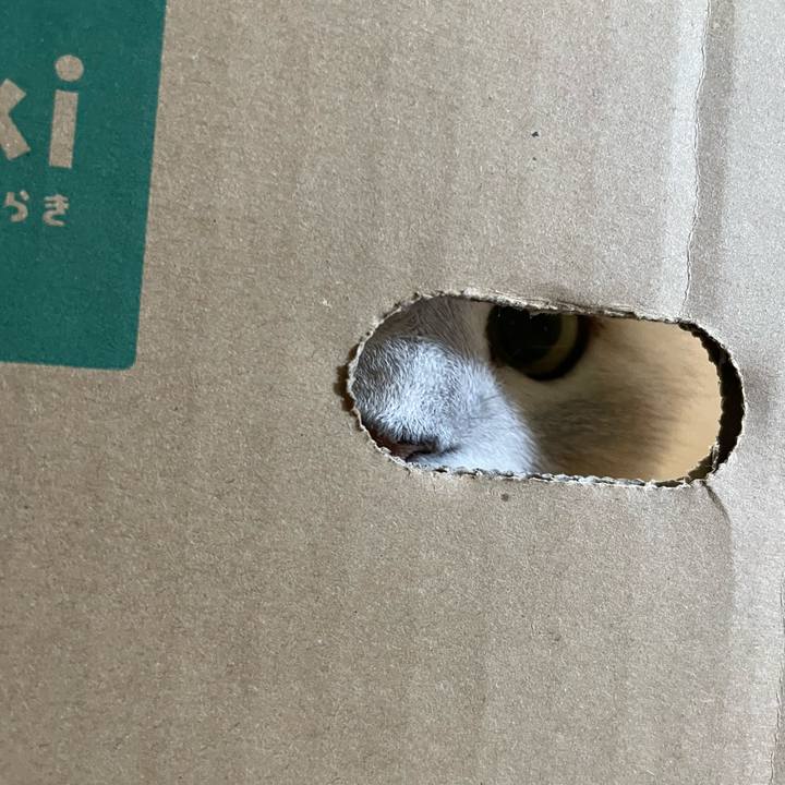 99af909a 1058 4170 bc2b 11625227b061 1652482525451