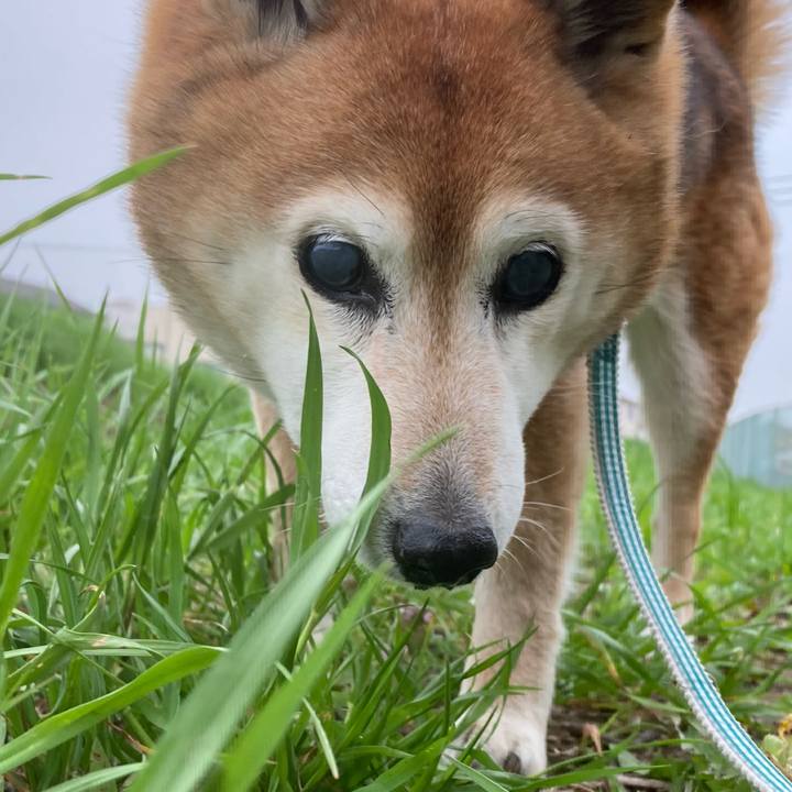 99af986e 085b 4e18 a15e f068c0deff22 1745554430306