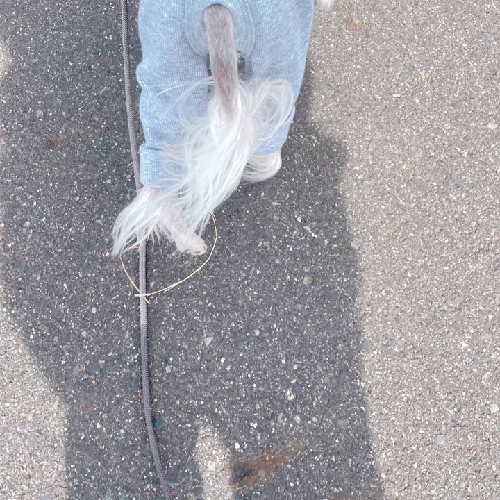 99afbdc2 89d1 4885 b282 e8eede37b3f3 1771919763278