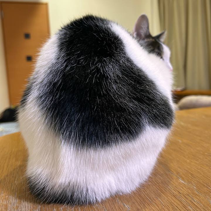 99afc848 eadb 4a7f a4ac d2142e3437c9 1765543687283