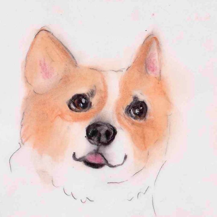 99afd443 edc0 4f95 ad6c 6af740e25d6f 1633830386791