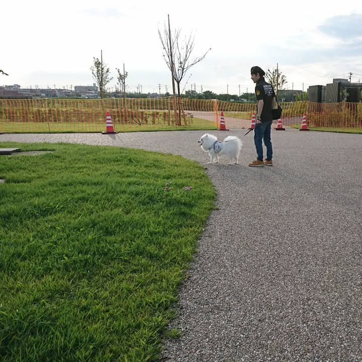 99afda99 bbf8 4099 9489 2f49d0e37540 1595063731759