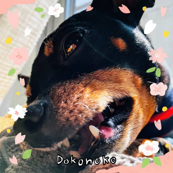 99b00568 bba2 499e bd9c afbd66959d63 1711202482274