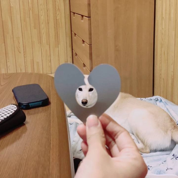 99b02851 b63a 4d16 ab9f dae8ccf07783 1568989848688