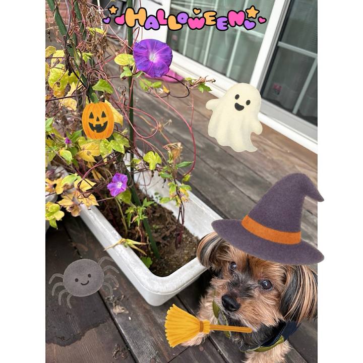 99b05596 2e4c 484e 80b9 ac65ff849604 1761861709689