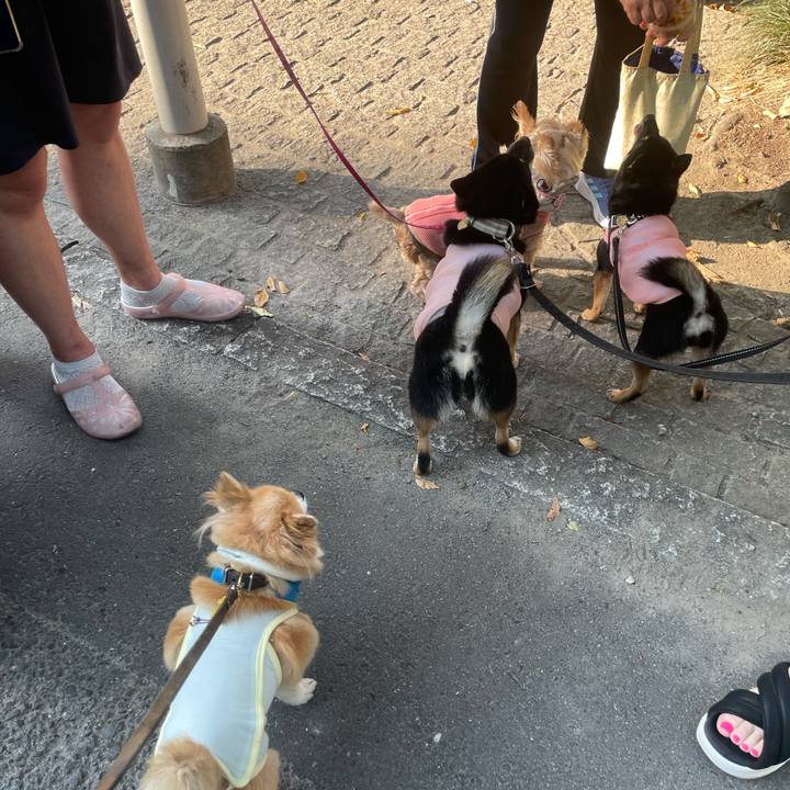 99b08613 e5e1 4e58 86ea 868012af9184 1753454144904