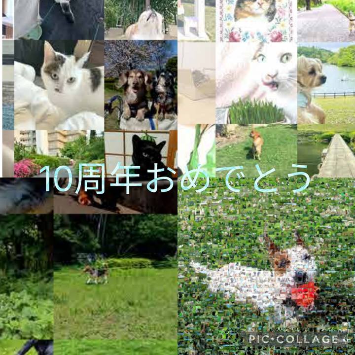 99b0b32e 8a10 4864 963b 2237f15f1133 1781481882187