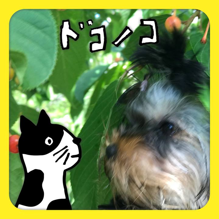 99b0b9e4 a811 4c79 b3ec de5bd81258fe 1622940867281