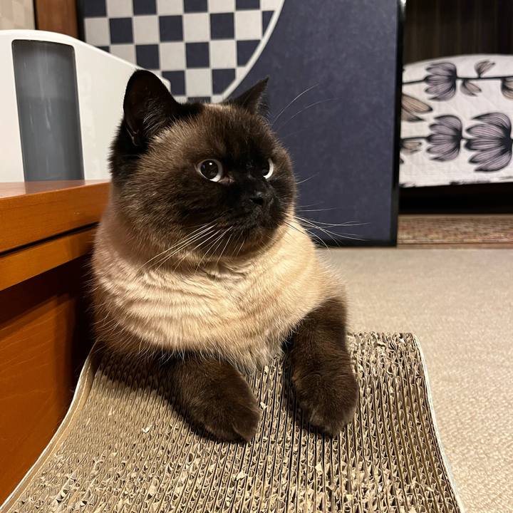 99b0dc6d 2ccb 40e0 96d5 7540d799d8d7 1674369064969