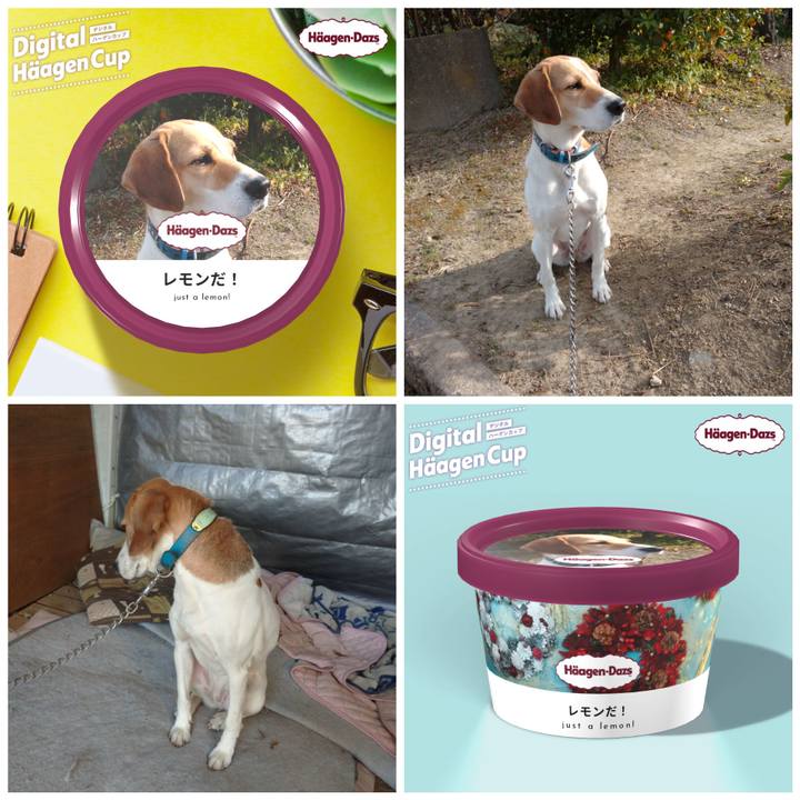 99b0e29d e822 46de 94a7 6b4b7dd4f70d 1607493373819