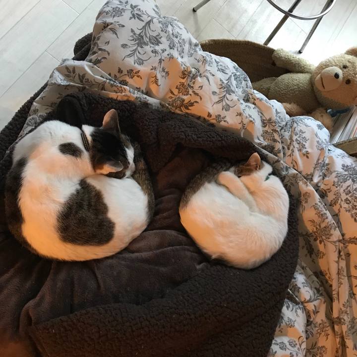 99b0fb98 210a 48b6 91fc c658bc3c4f73 1546581551499