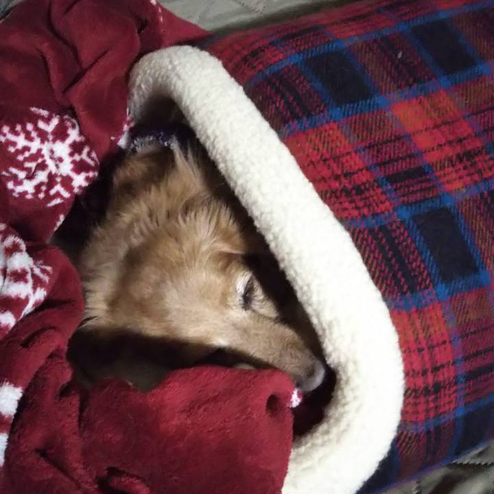 99b0fe36 17c8 4c88 8a89 5809e00d61ed 1640269214047