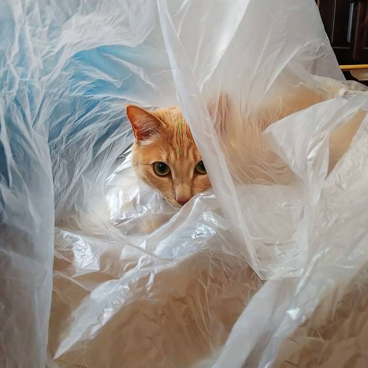 99b10c93 13d3 4253 b4b3 d7eff2419eac 1581820743118