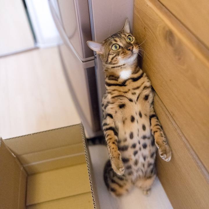 99b11e23 bd49 4516 86e7 78e5bf4c605a 1520520791134