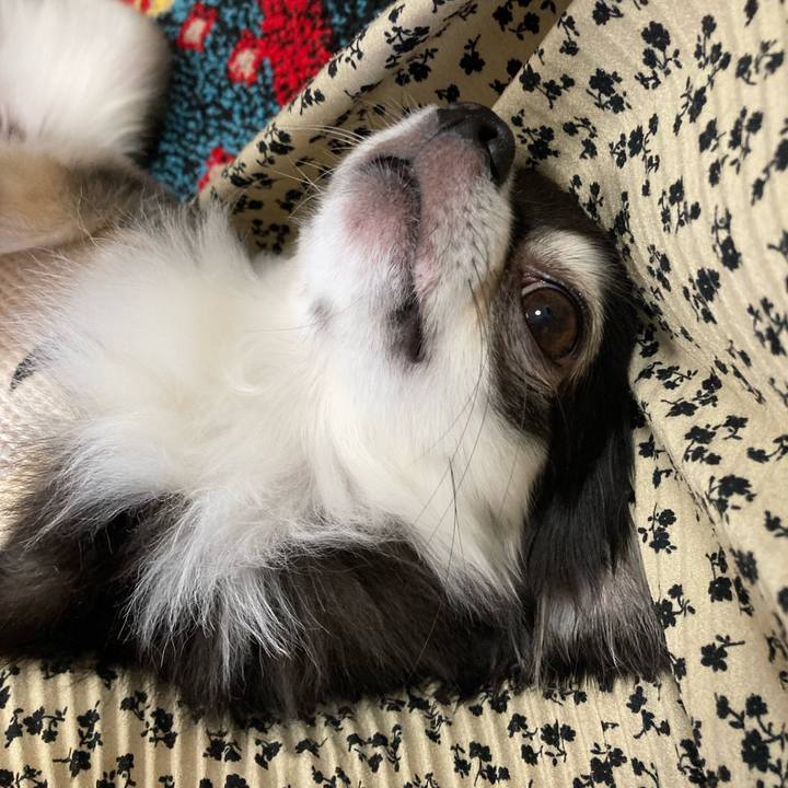 99b19846 e74c 4b9f b179 02ec214e011e 1699026022612