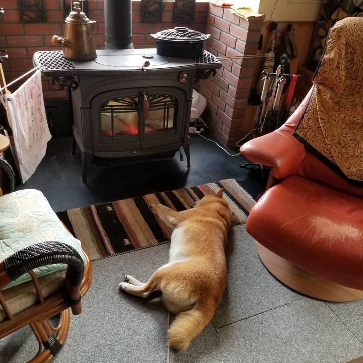 99b1e068 66a4 4a3d 8280 fde9aa815591 1572570480013