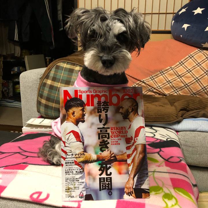 99b1fb54 2299 4900 882b 2e94f862577f 1697894547016