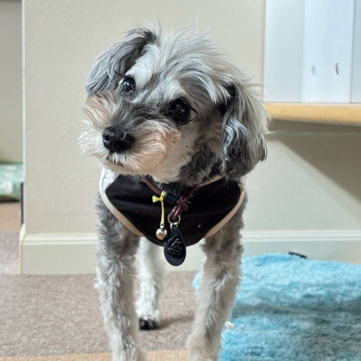 99b20dc3 1ad8 46dc 8234 97f9bdcbfa2e 1762399548191