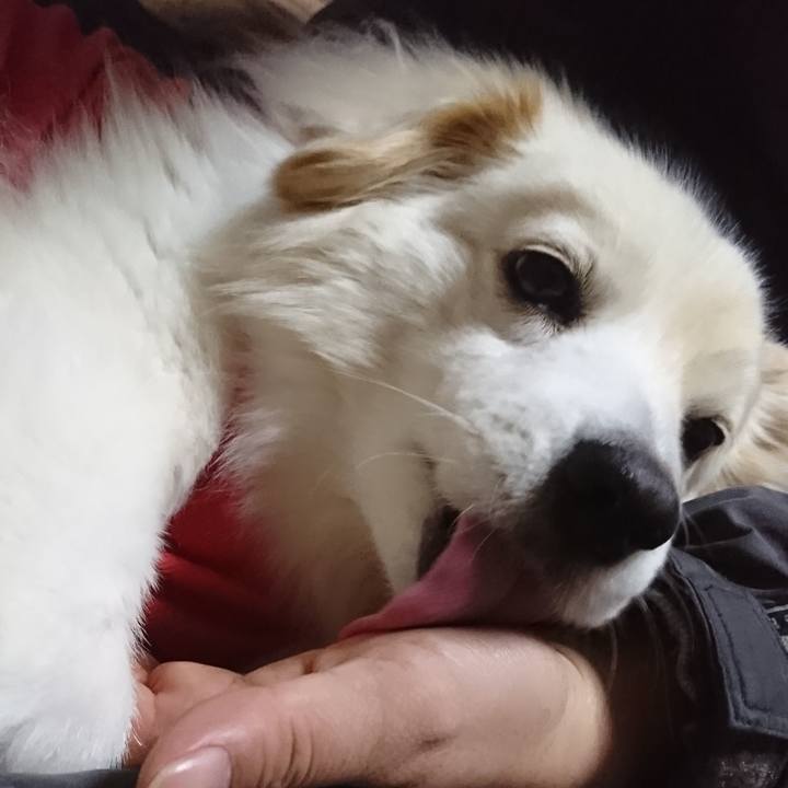 99b223b2 588a 41a9 b506 a209b7483e9a 1520887631605