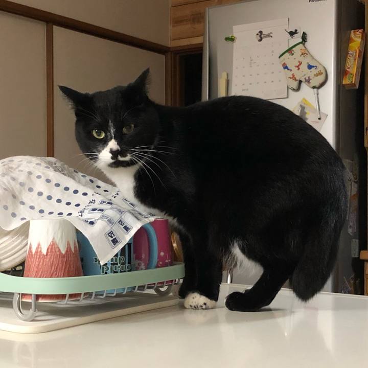 99b26009 3036 4e26 a88d 333fbca60d91 1551844884912