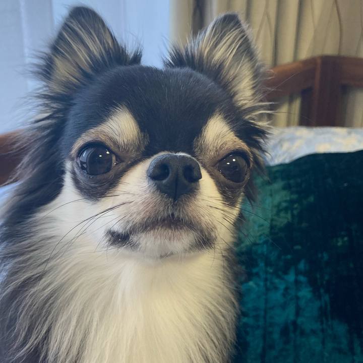 99b27cfc 71fe 4c9d 9daa 275b2b86147f 1635910514883