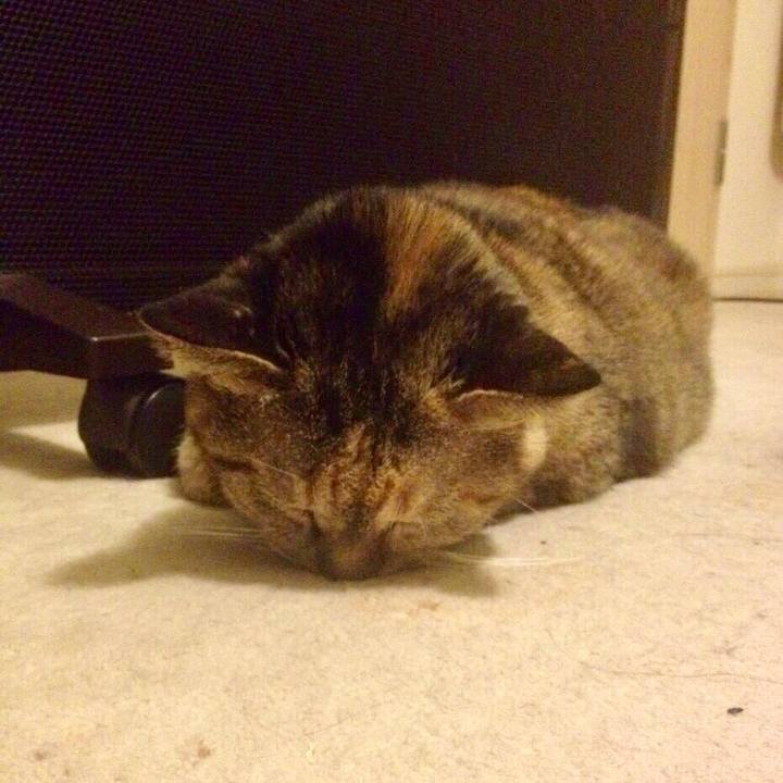 99b29e9e cda3 4f3a 9553 4a025cd6648c 1519029348525