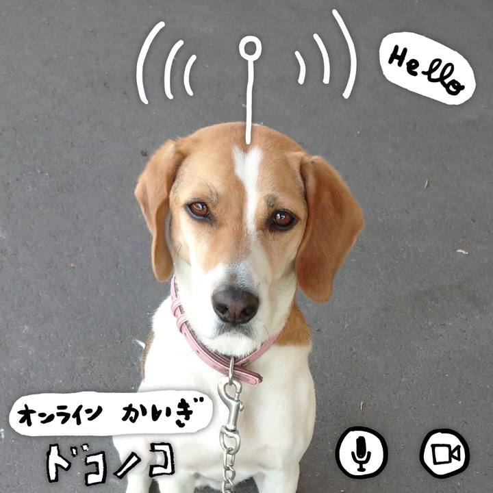 99b2aa4c b2e9 43ce 804e 6afa3c78067f 1592560624654