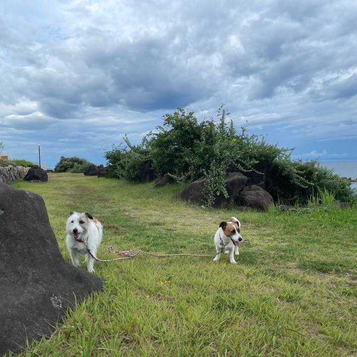 99b2acd2 bd04 4ac4 abfa ce880f6a0c0d 1725058661251