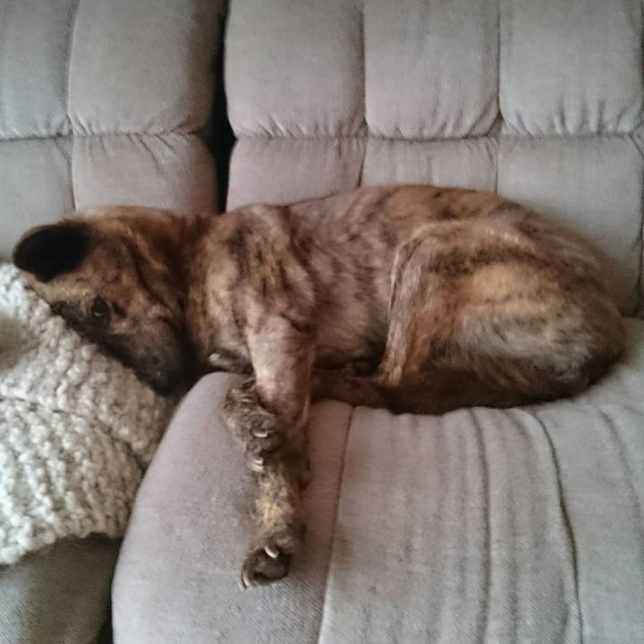 99b2af97 49eb 43fd b66a e476e24fea44 1508046543095