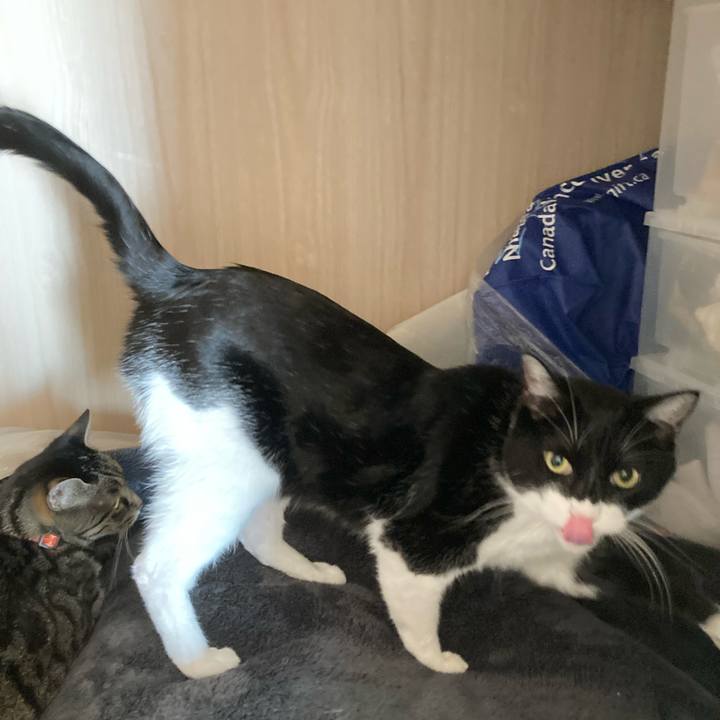 99b2da25 10cb 497a 8c5e 3e8b7adf498b 1710678153140