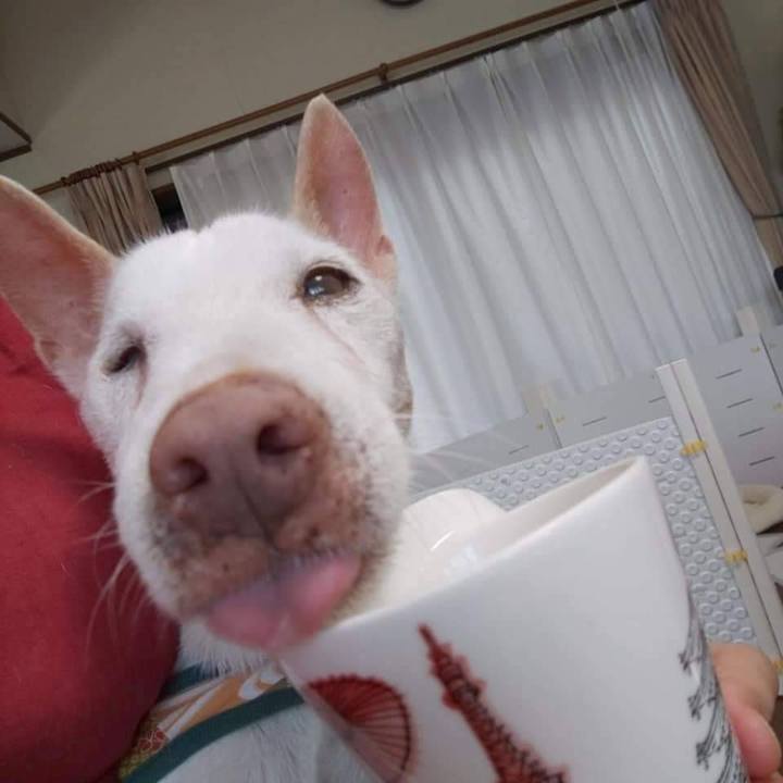 99b2e606 fa51 4f2d a72d 427f4506905b 1692832297129