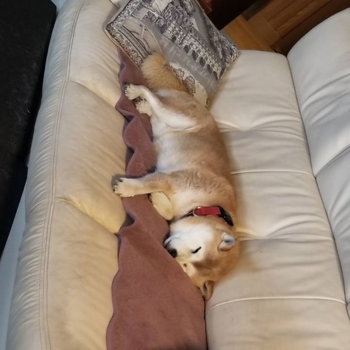 99b2e7b9 ff08 4f45 8a4d 450e997b8793 1739603510120