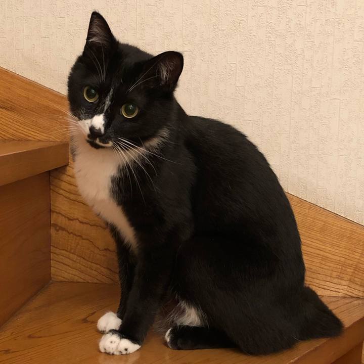 99b3103c b669 42f4 b850 ea81a096b574 1592536747198