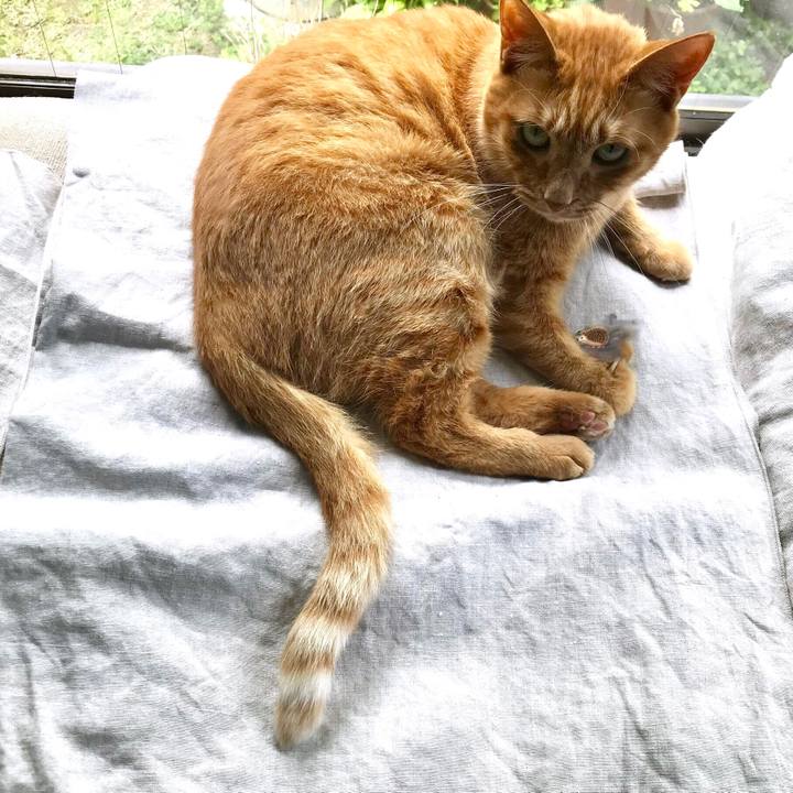 99b31629 266a 4566 95a4 5fc59bf6db3e 1557716874621